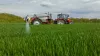 LEXIS 3800 au travail dans un champ de blé