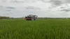 LEXIS 3800 au travail dans un champ de blé